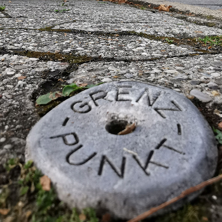 Amtliche Vermessung, Grenzvermessung: Nahaufnahme eines Steines mit der Aufschrift Grenzpunkt